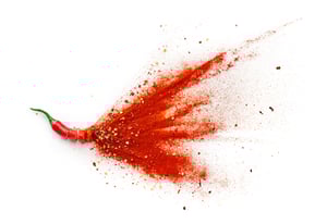 Chili Powder Application Process Improvement