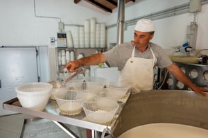 finishing ricotta cheese mixing